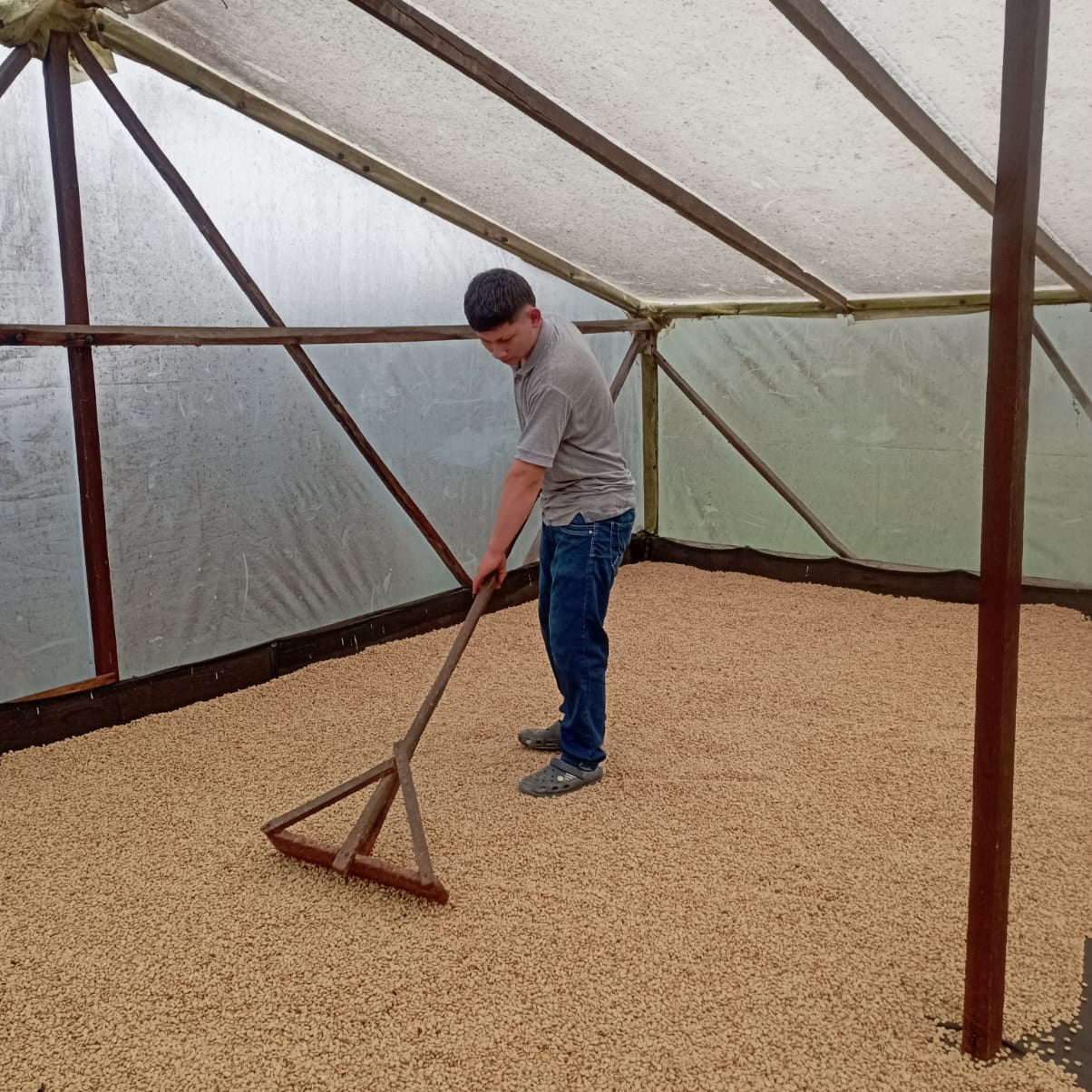 Coffee Beans Colombia Natural